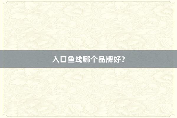 入口鱼线哪个品牌好？