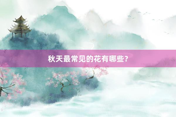 秋天最常见的花有哪些？
